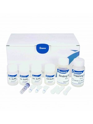 dNEAT Plasmid Purification Kit