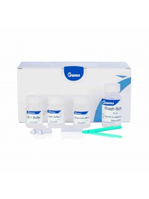rNEAT Tissue Total RNA Purification Kit