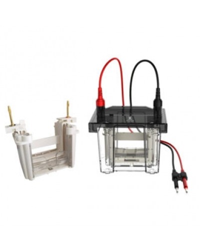 Vertikali elektroforezės sistema VOLT V80