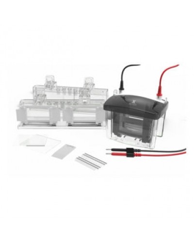 Vertikali elektroforezės sistema VOLT VX80