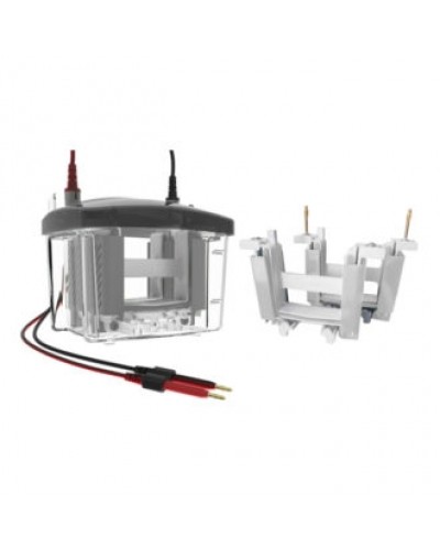 Vertikali elektroforezės sistema VOLT VX80