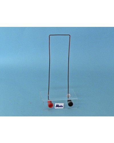 Magnetinio lauko demostratorius