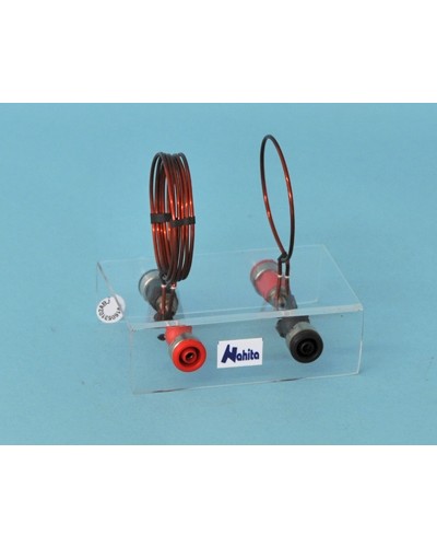 Magnetinio lauko demostratorius