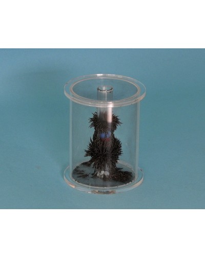 Magnetinio lauko kamera