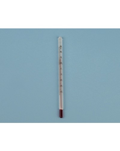 Stiklinis termometras šaldytuvui