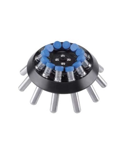 Rotorius Nahita Blue