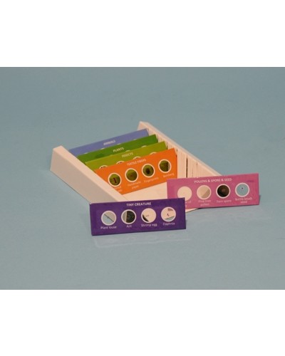 Bendras mokomasis rinkinys, 24 skaidrės