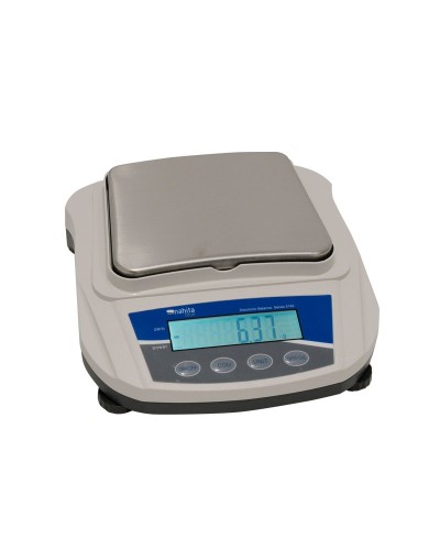 Precizinės svarstyklės 5162