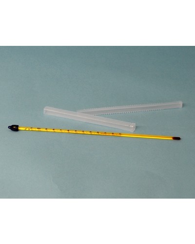 Stiklinis termometras (itin atsparus)