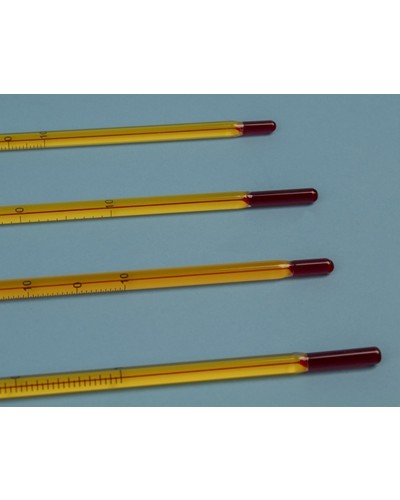 Stiklinis termometras (itin atsparus)