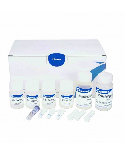 dNEAT Plasmid Purification Kit